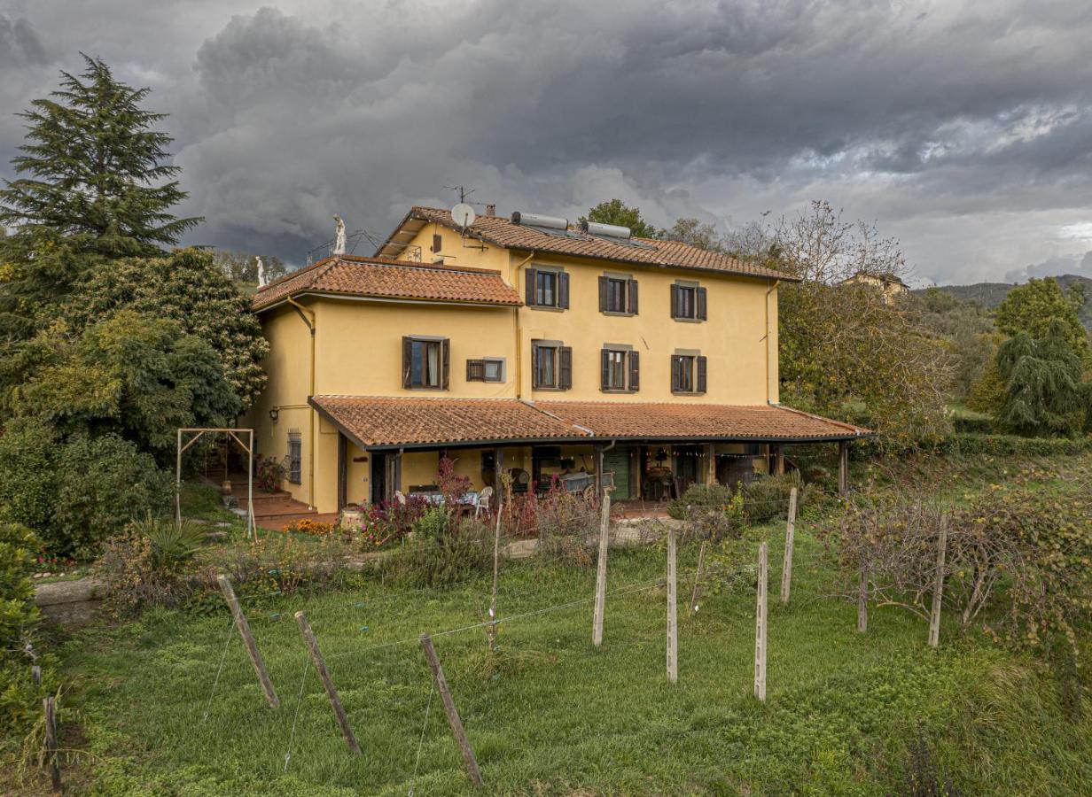 Agriturismo Il Bardellino فيفيزانو المظهر الخارجي الصورة