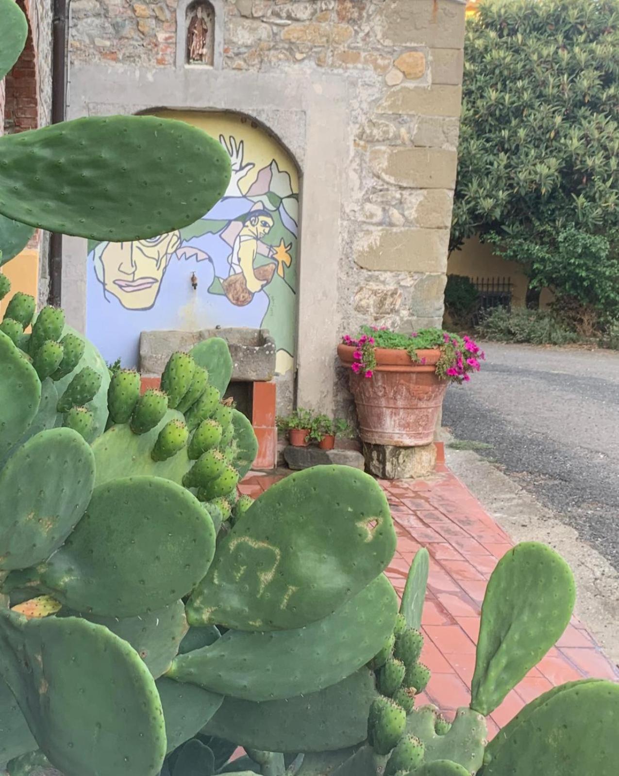 Agriturismo Il Bardellino فيفيزانو المظهر الخارجي الصورة