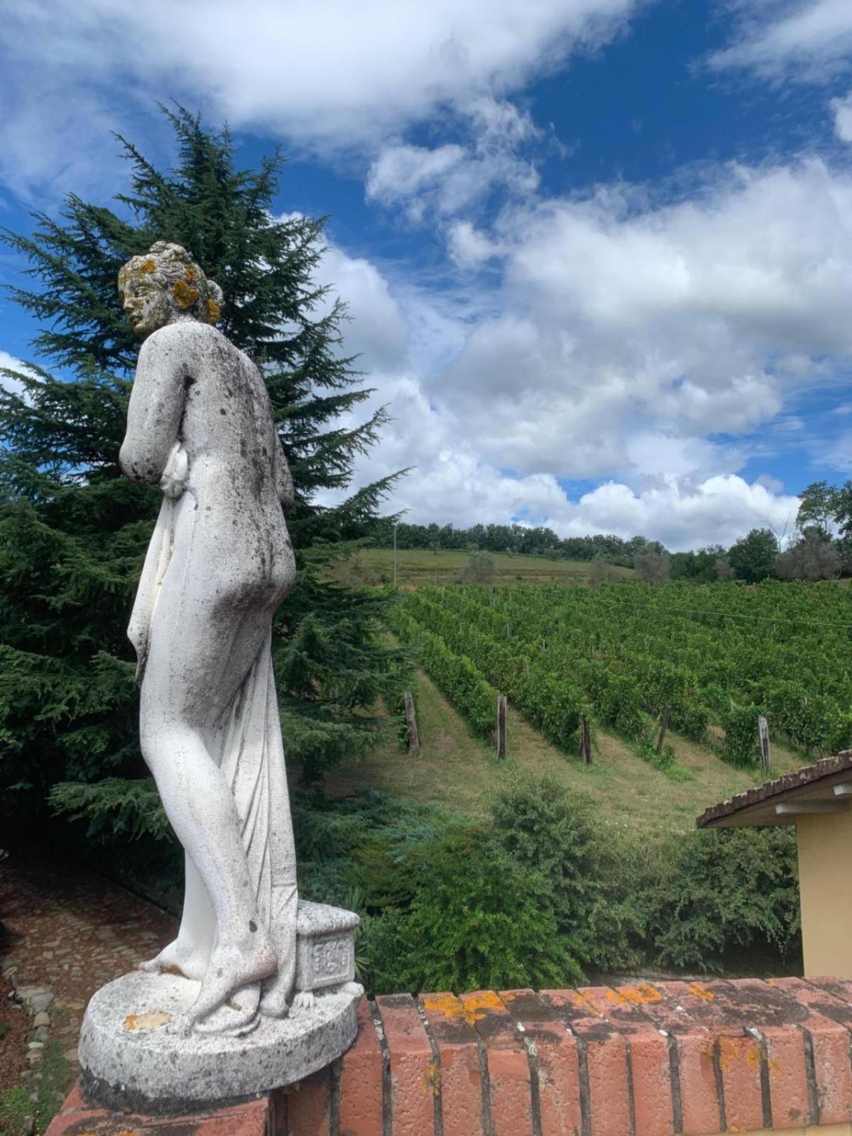 Agriturismo Il Bardellino فيفيزانو المظهر الخارجي الصورة